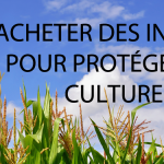 auxiliere et insectes predateurs