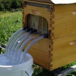 recolter-miel-sans-deranger-abeilles-honey-flow